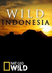 Destination Wild: Indonesia Destination Wild: Indonesia