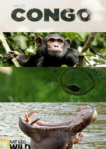 Destination Wild: Congo Destination Wild: Congo
