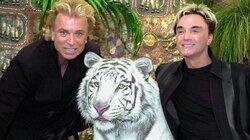 Siegfried & Roy Part 2: Dangerous Illusion Siegfried & Roy Part 2: Dangerous Illusion