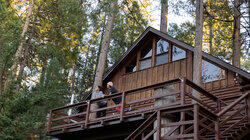 Cedar Rock Cabin