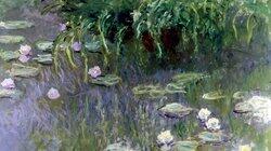 Monet - The French Revolutionary Monet - The French Revolutionary