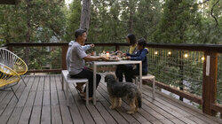 Alpine Modern
