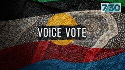 Voice Vote Voice Vote