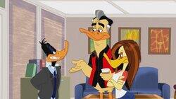 Daffy Duck Esquire