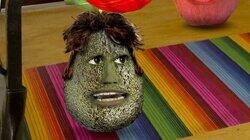 Avocadotar Avocadotar