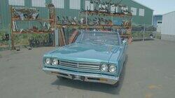 The Roadrunner Gives Me a Hemi The Roadrunner Gives Me a Hemi