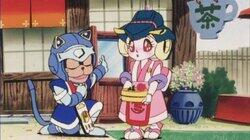 Stop Dragon My Cat Around! Stop Dragon My Cat Around!