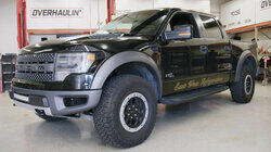 Daily Raptor Daily Raptor