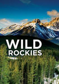 Wild Rockies Wild Rockies