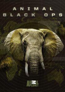 Animal Black Ops - Season 1 Animal Black Ops - Season 1