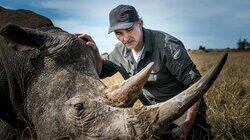 The Supervet: Safari Special The Supervet: Safari Special