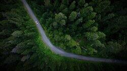 Tree vs. Truck Tree vs. Truck