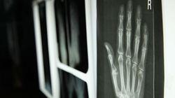 The Incredible Human Hand The Incredible Human Hand