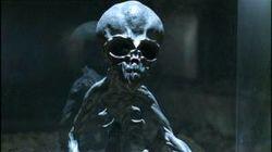 The Omega Man The Omega Man