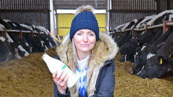 Ginger, Raw Milk & Nuts Ginger, Raw Milk & Nuts