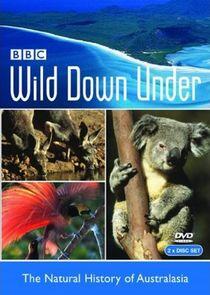 Wild Down Under Wild Down Under