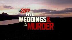 Five Weddings and a Murder Five Weddings and a Murder