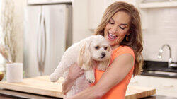 Should Your Dog Sleep in Your Bed? Should Your Dog Sleep in Your Bed?
