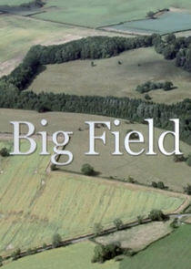 Big Field Big Field