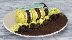 Earth Day: Inspired by Bugs! Earth Day: Inspired by Bugs!