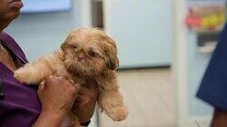 Furry, Family, Friends Furry, Family, Friends
