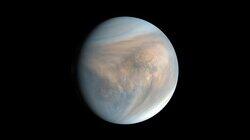 Life on Venus Life on Venus