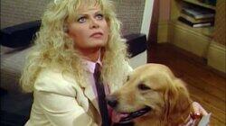 Death Row Dog Death Row Dog