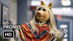 Swine Song Swine Song