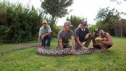 Snake Bait Snake Bait