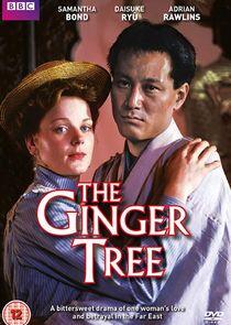 The Ginger Tree The Ginger Tree