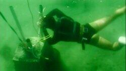 Navy SEALs Navy SEALs