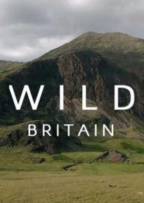 Wild Britain Wild Britain
