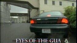 Eyes of the Gua Eyes of the Gua