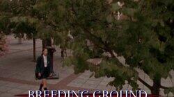 Breeding Ground Breeding Ground