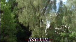 Asylum Asylum