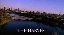 The Harvest The Harvest