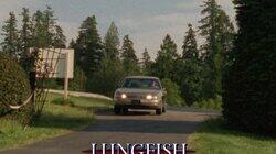 Lungfish Lungfish