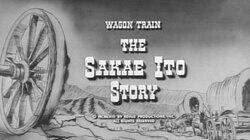 The Sakae Ito Story The Sakae Ito Story