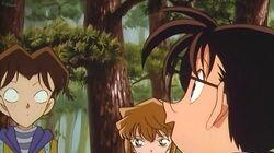 Mushrooms, Bears, and the Detective Boys (Part 1) Mushrooms, Bears, and the Detective Boys (Part 1)