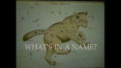 What's In A Name? What's In A Name?