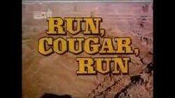 Run, Cougar, Run (1) Run, Cougar, Run (1)