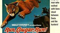 Run, Cougar, Run (2) Run, Cougar, Run (2)
