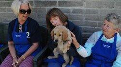Canine MD Canine MD