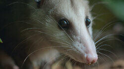 Chapter Three: A Dead End