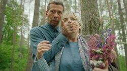 Серия 8 Серия 8