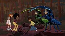 Hercules: The Giant Beetle Hercules: The Giant Beetle