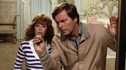 Harts Under Glass Harts Under Glass