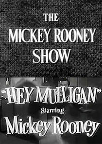 The Mickey Rooney Show The Mickey Rooney Show