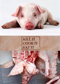 Kill It, Cook It, Eat It Kill It, Cook It, Eat It