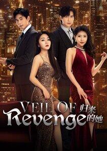 Veil of Revenge Veil of Revenge